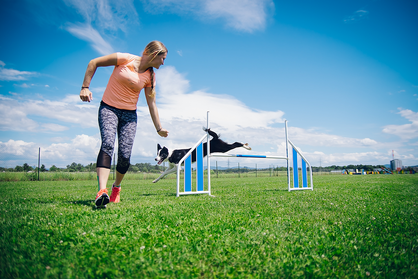 Agility foundations course (auditor spot)